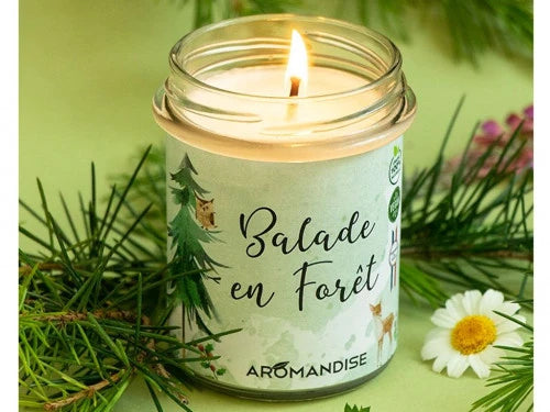BALADE EN FÔRET